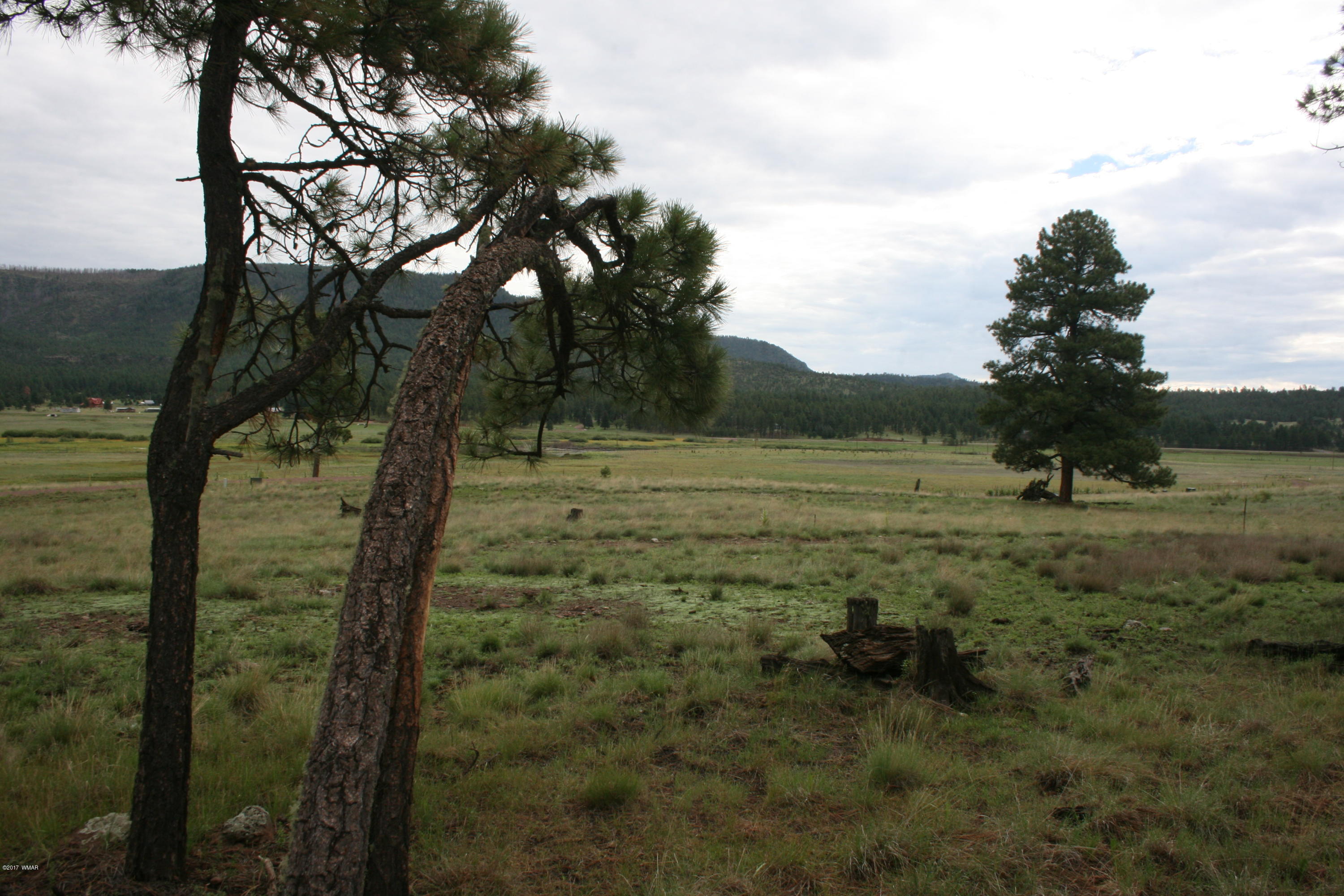 1 U Co Road Alpine, AZ 85920 - Photo 11 of 34