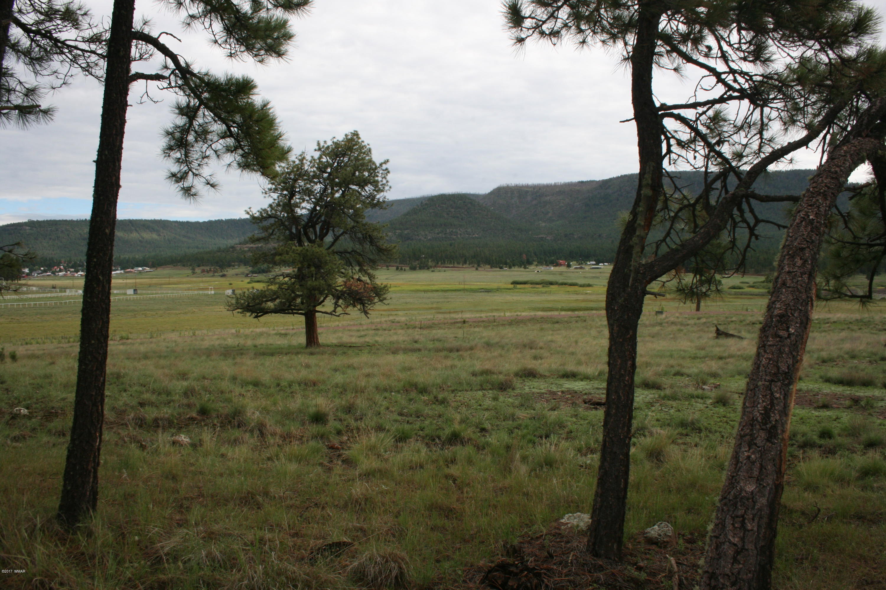 1 U Co Road Alpine, AZ 85920 - Photo 12 of 34