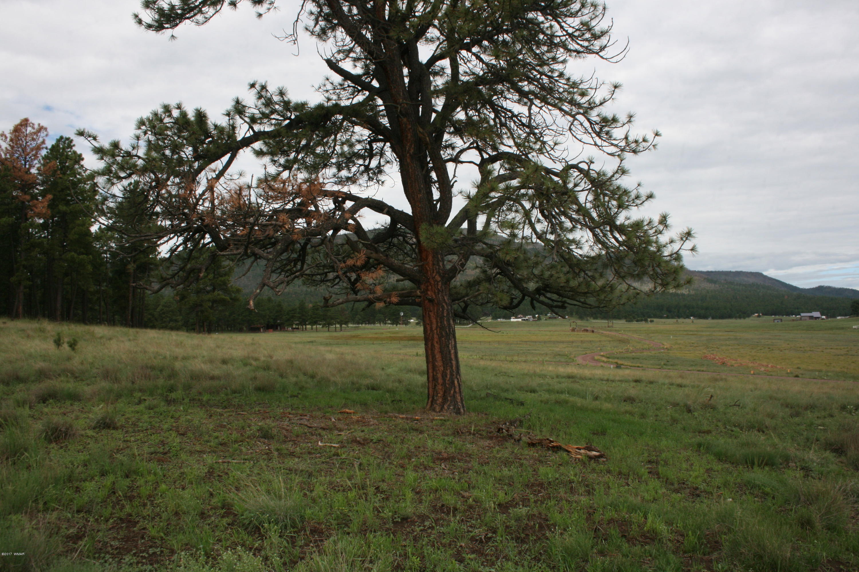 1 U Co Road Alpine, AZ 85920 - Photo 13 of 34