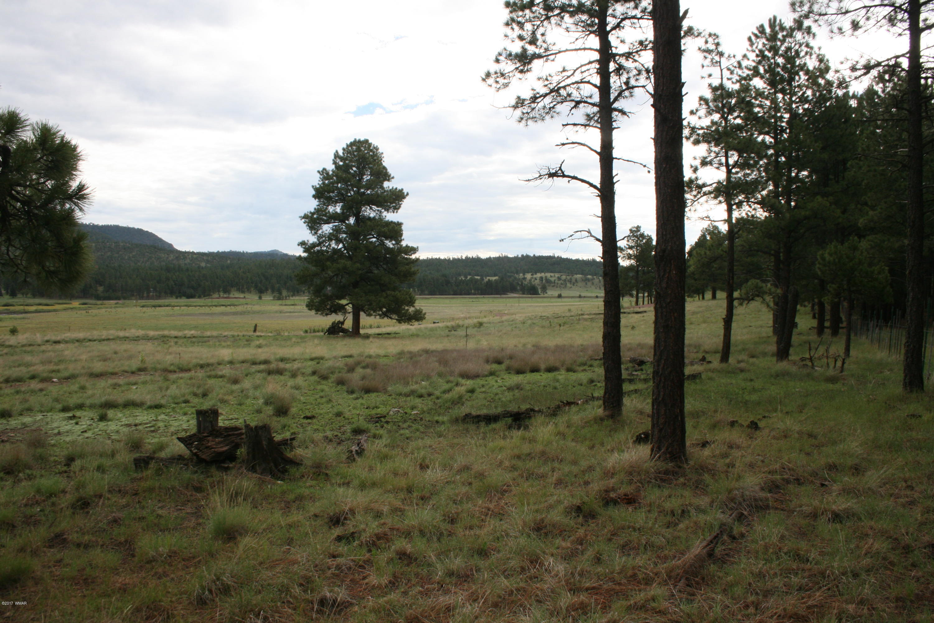 1 U Co Road Alpine, AZ 85920 - Photo 14 of 34