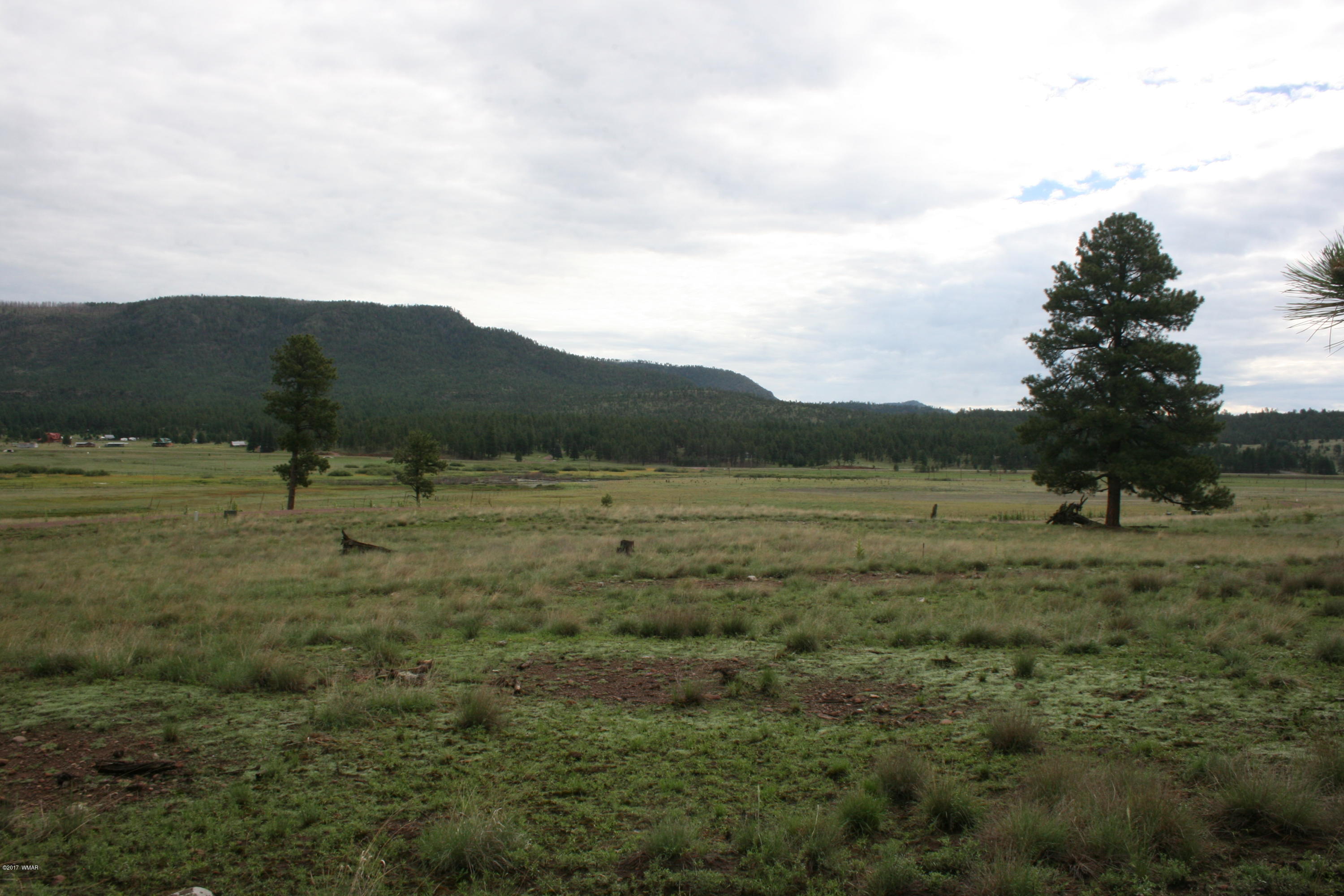 1 U Co Road Alpine, AZ 85920 - Photo 16 of 34