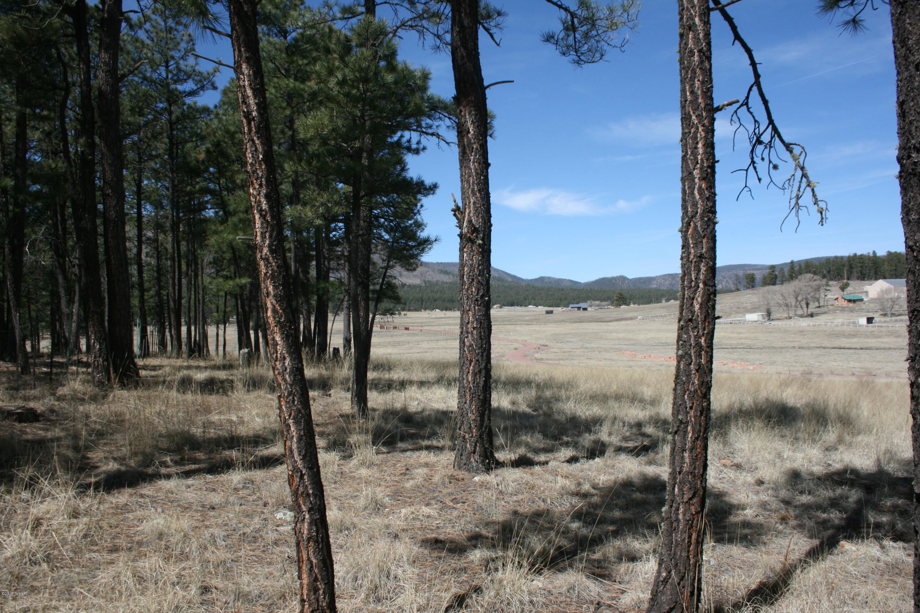 1 U Co Road Alpine, AZ 85920 - Photo 17 of 34