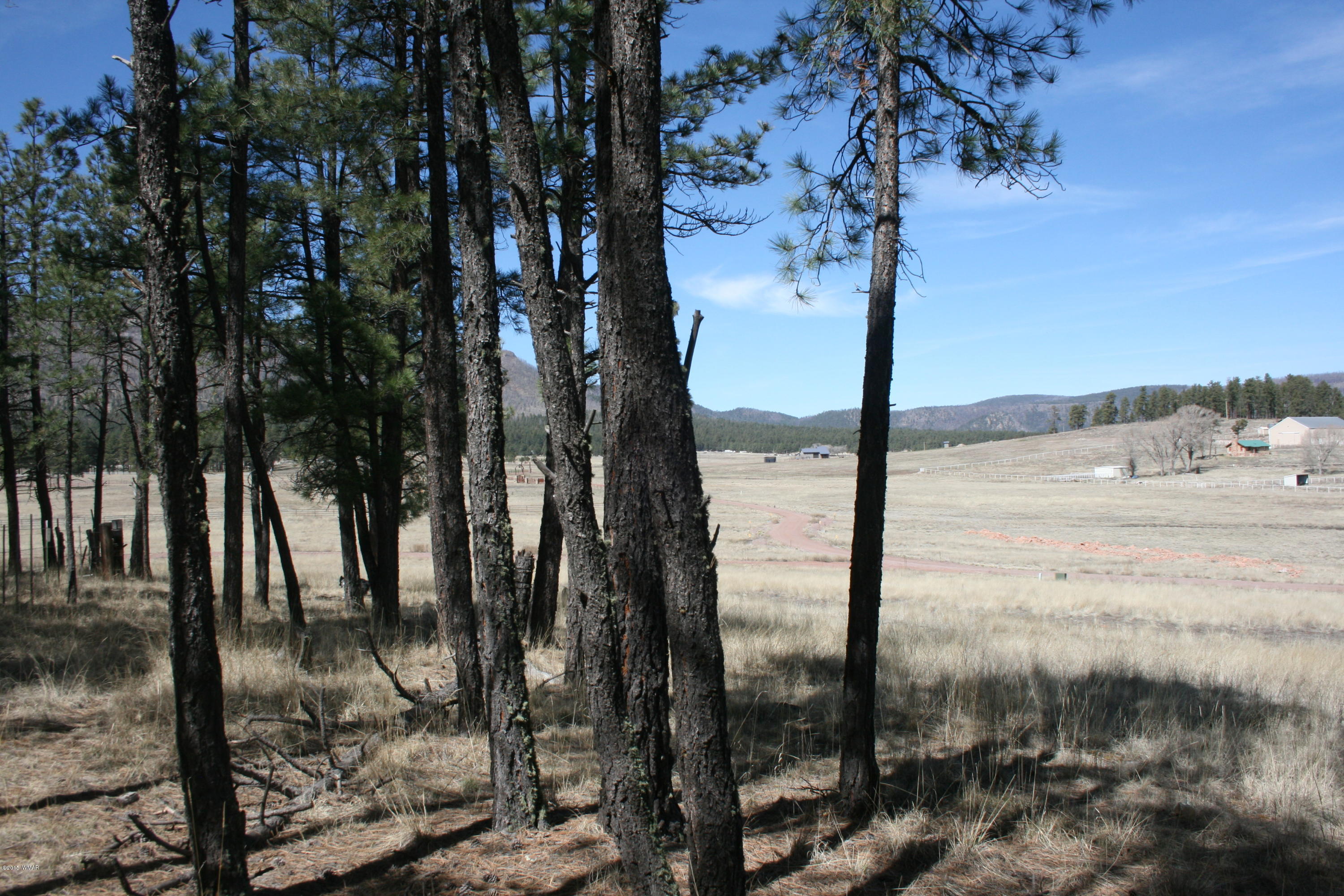 1 U Co Road Alpine, AZ 85920 - Photo 18 of 34