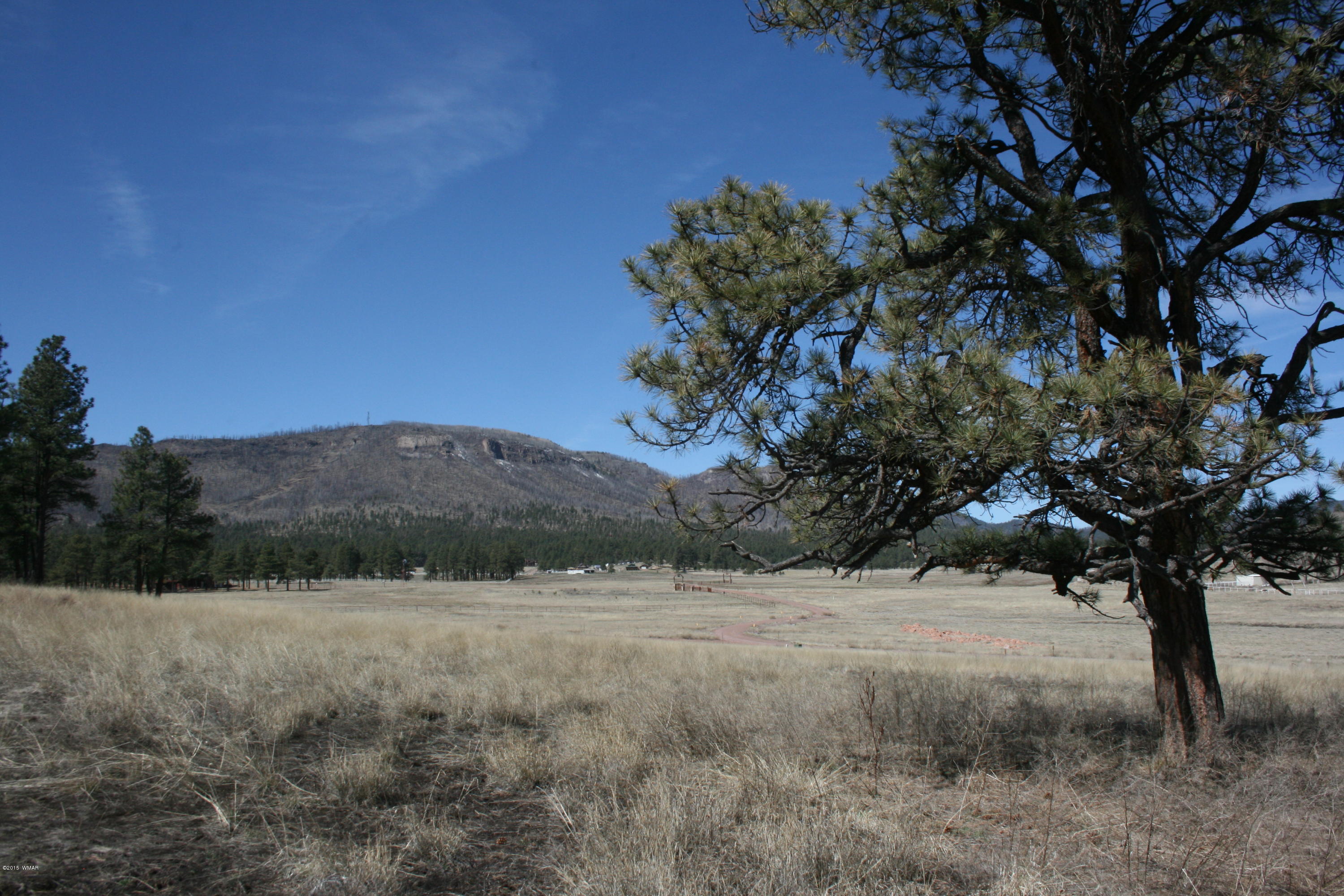1 U Co Road Alpine, AZ 85920 - Photo 19 of 34
