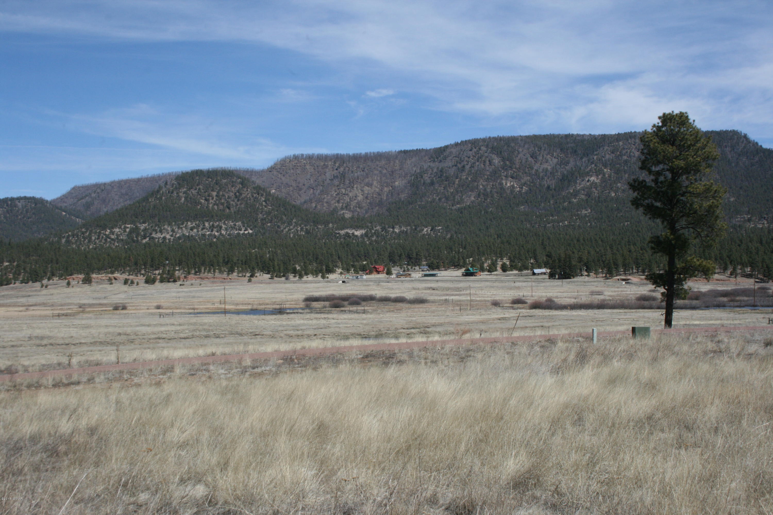 1 U Co Road Alpine, AZ 85920 - Photo 20 of 34