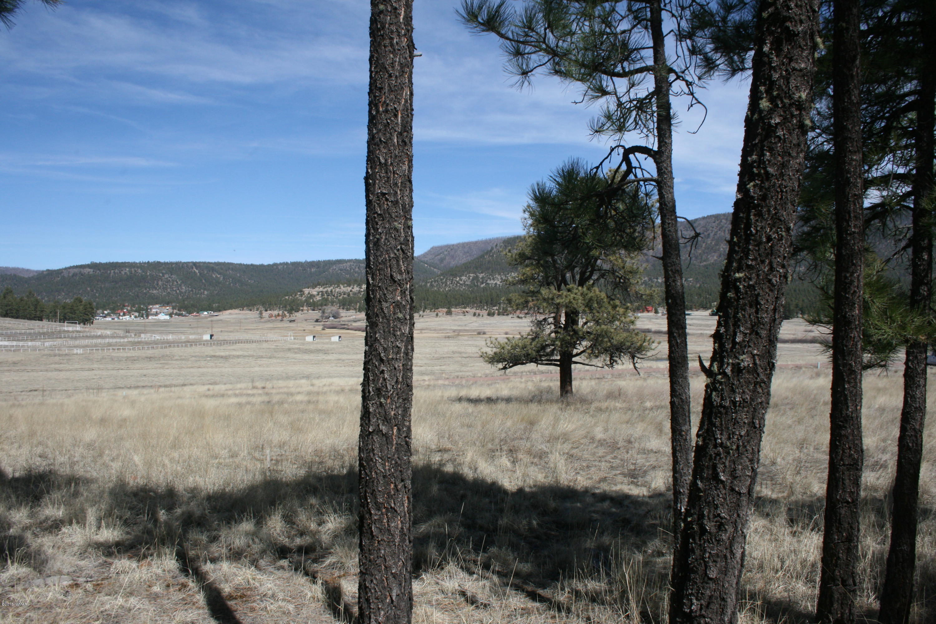 1 U Co Road Alpine, AZ 85920 - Photo 21 of 34