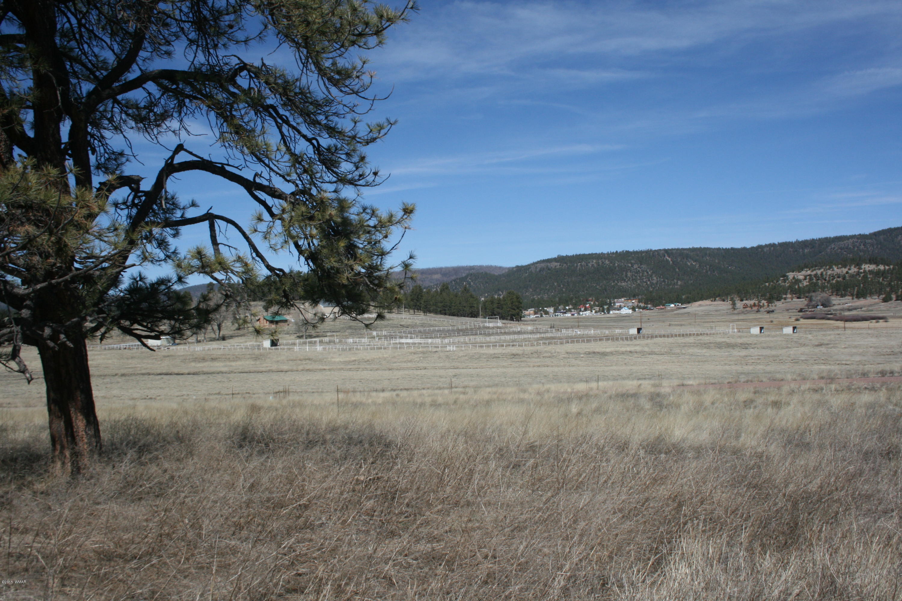 1 U Co Road Alpine, AZ 85920 - Photo 22 of 34