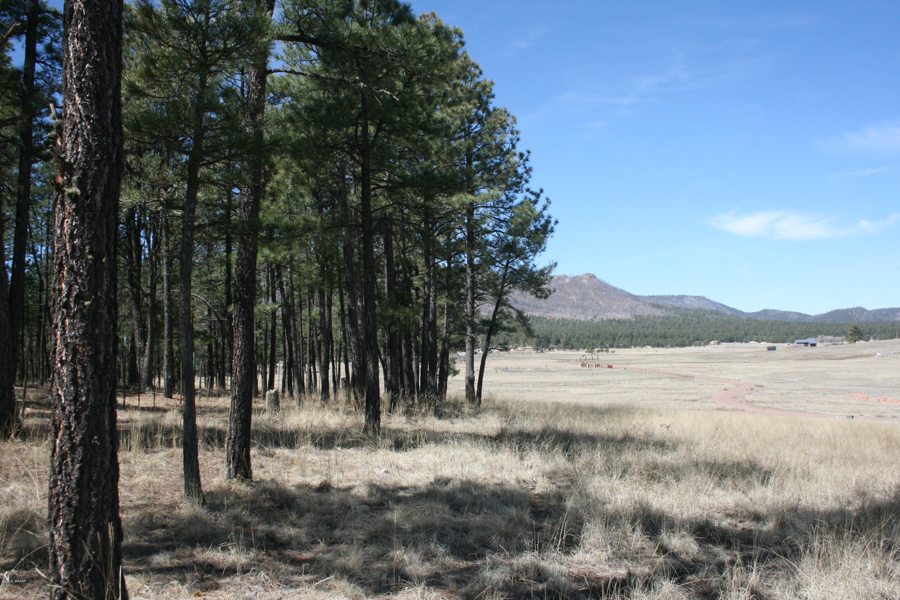 1 U Co Road Alpine, AZ 85920 - Photo 23 of 34