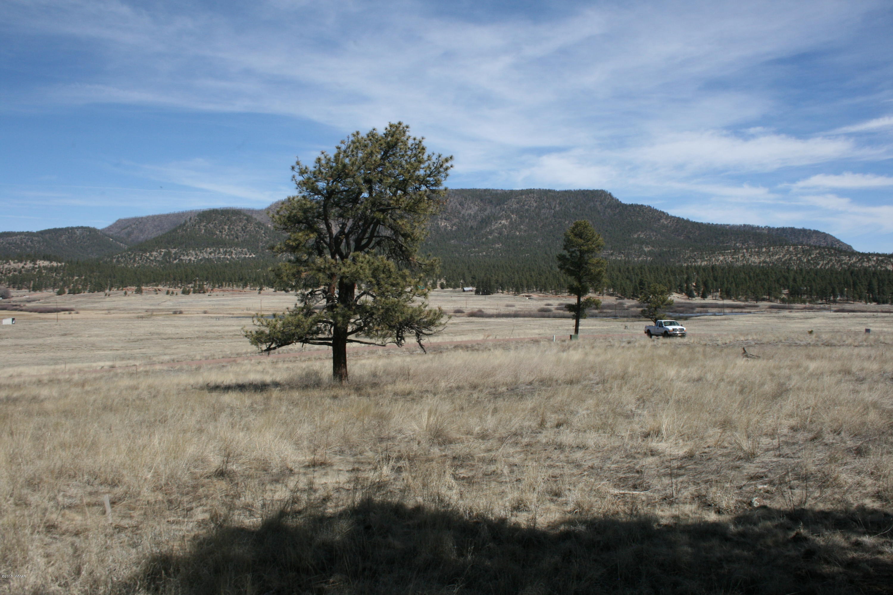 1 U Co Road Alpine, AZ 85920 - Photo 24 of 34