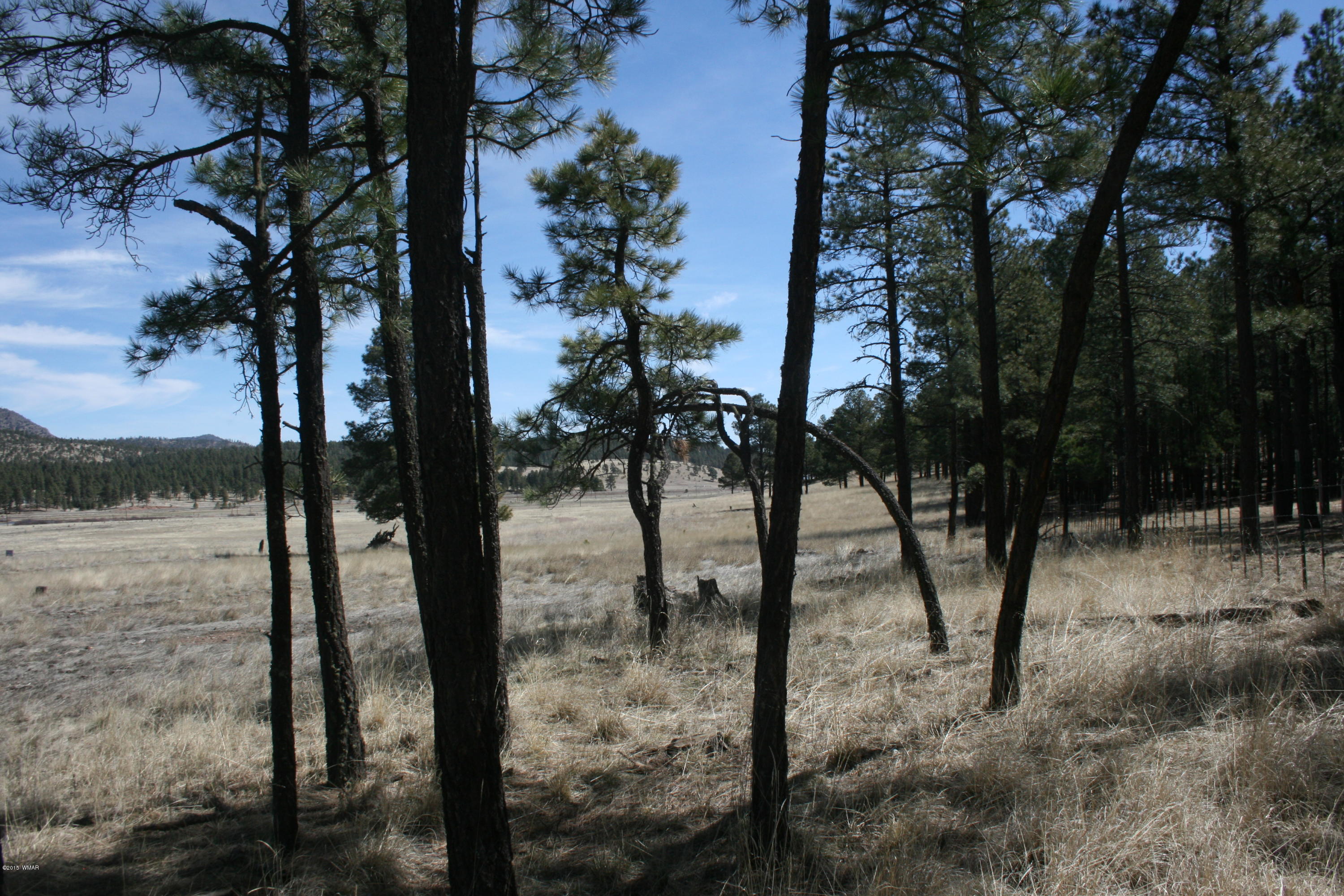 1 U Co Road Alpine, AZ 85920 - Photo 25 of 34