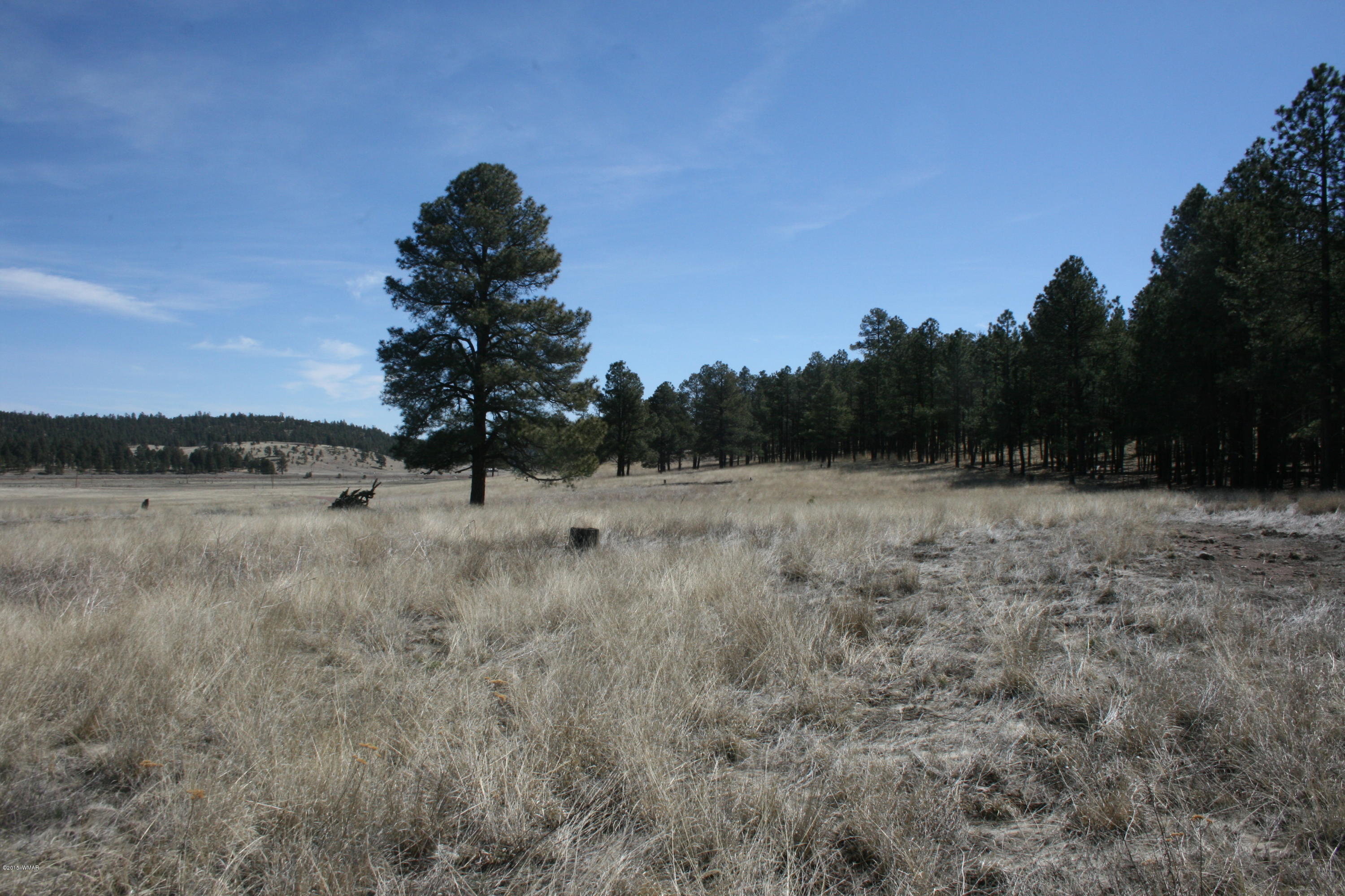 1 U Co Road Alpine, AZ 85920 - Photo 26 of 34