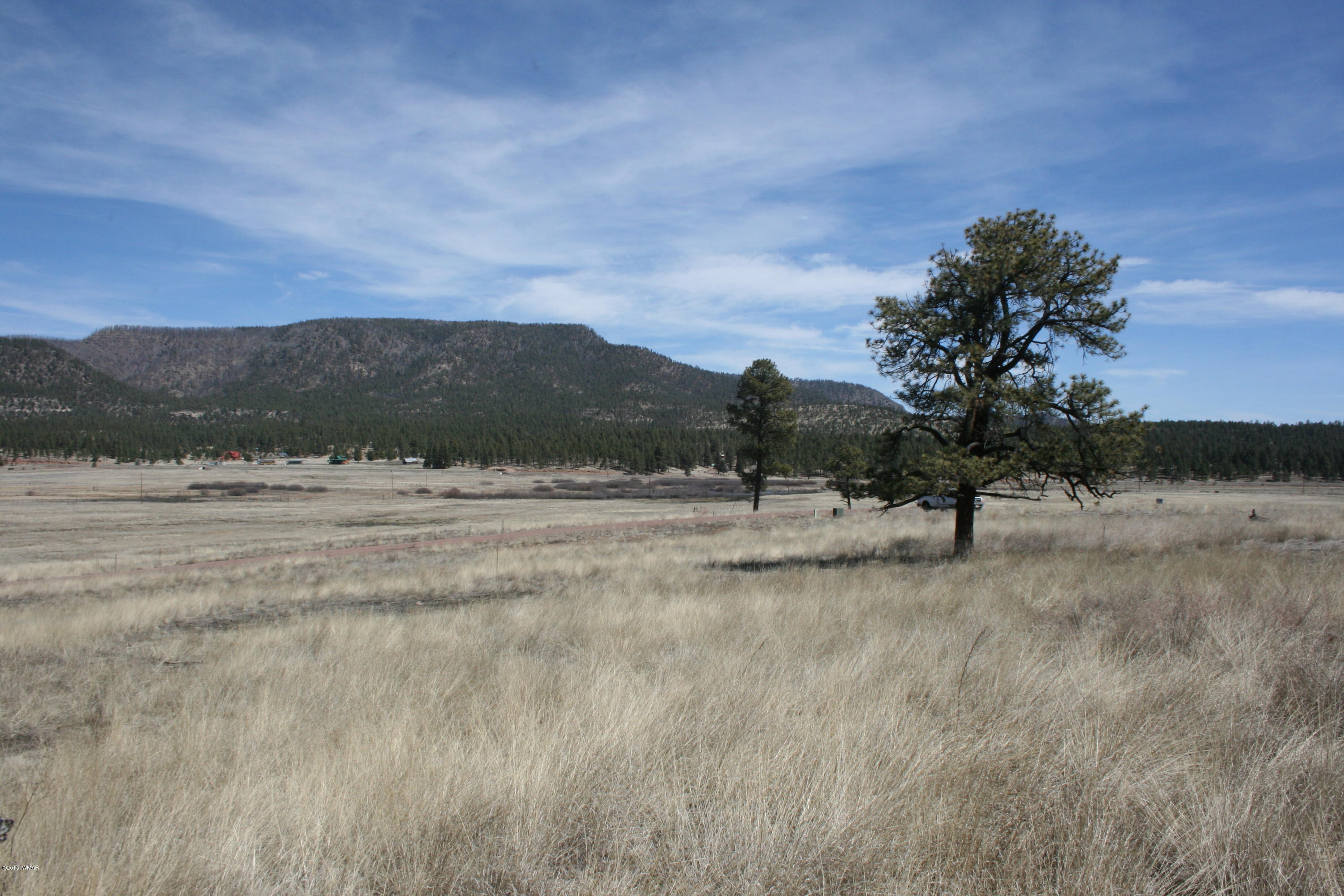 1 U Co Road Alpine, AZ 85920 - Photo 27 of 34