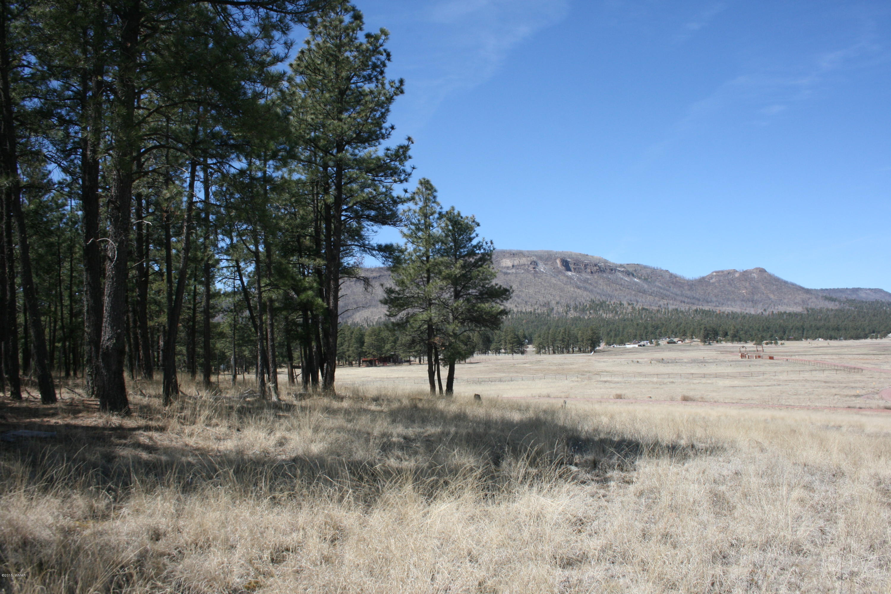 1 U Co Road Alpine, AZ 85920 - Photo 28 of 34