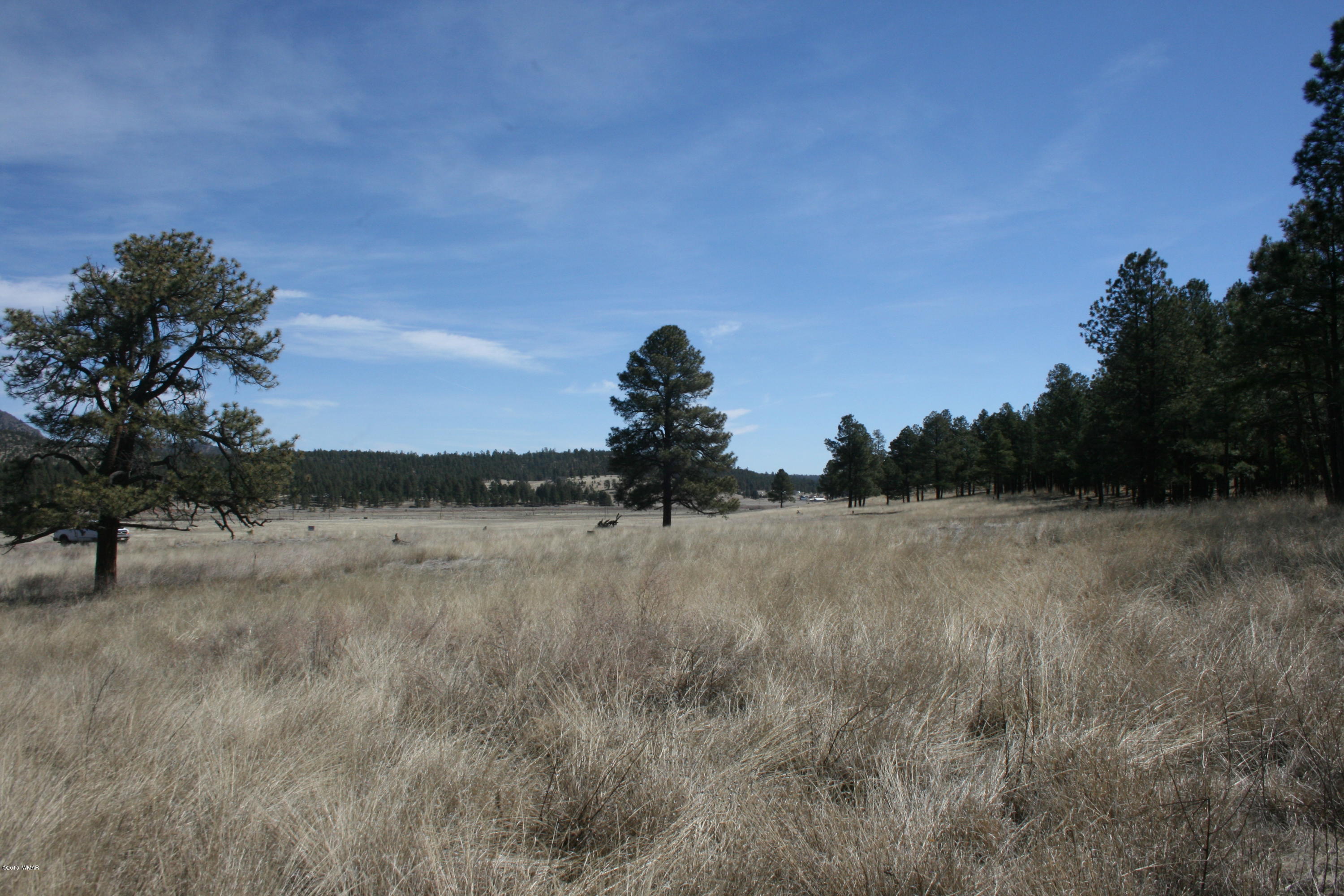 1 U Co Road Alpine, AZ 85920 - Photo 29 of 34