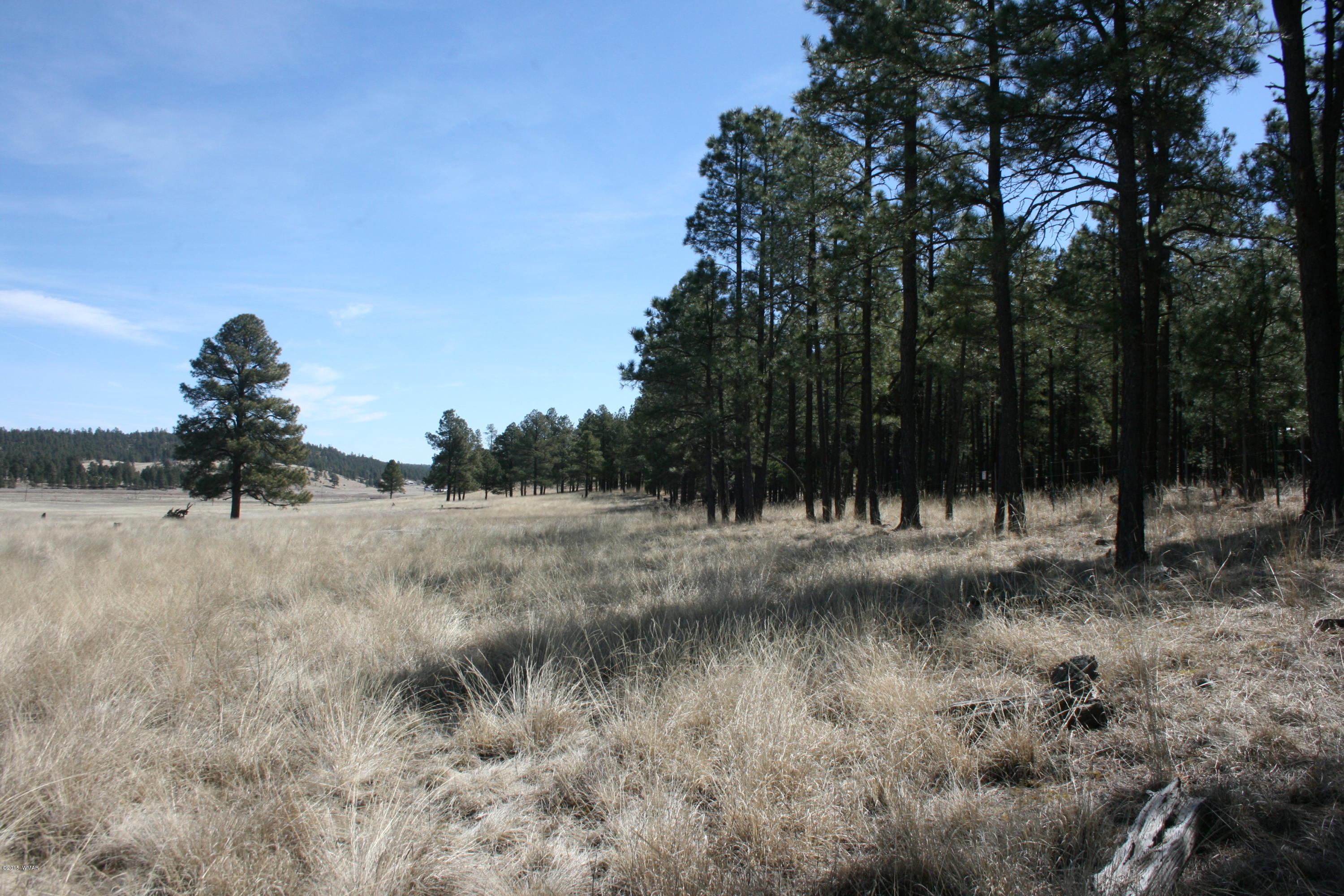 1 U Co Road Alpine, AZ 85920 - Photo 30 of 34