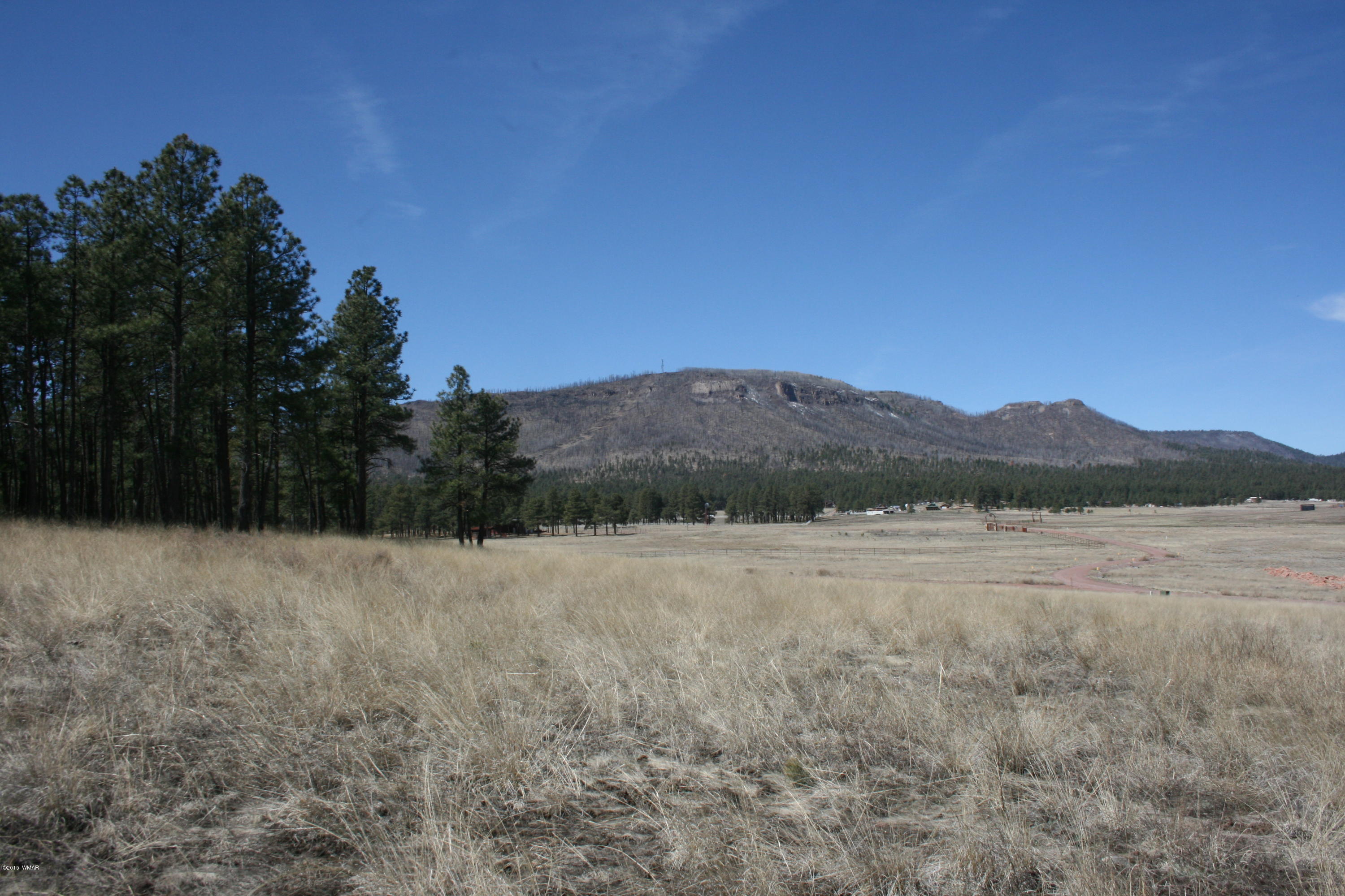1 U Co Road Alpine, AZ 85920 - Photo 31 of 34