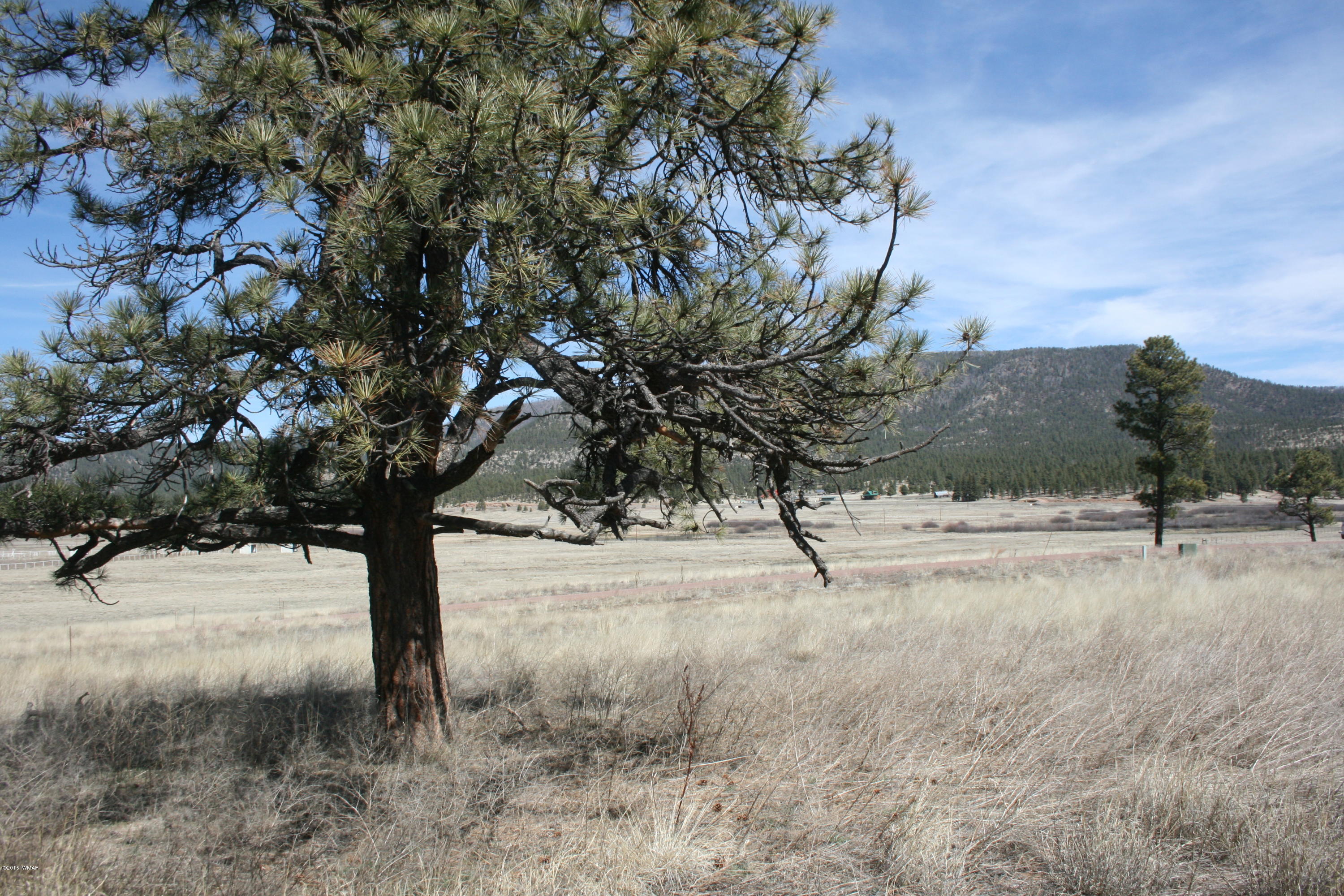 1 U Co Road Alpine, AZ 85920 - Photo 32 of 34