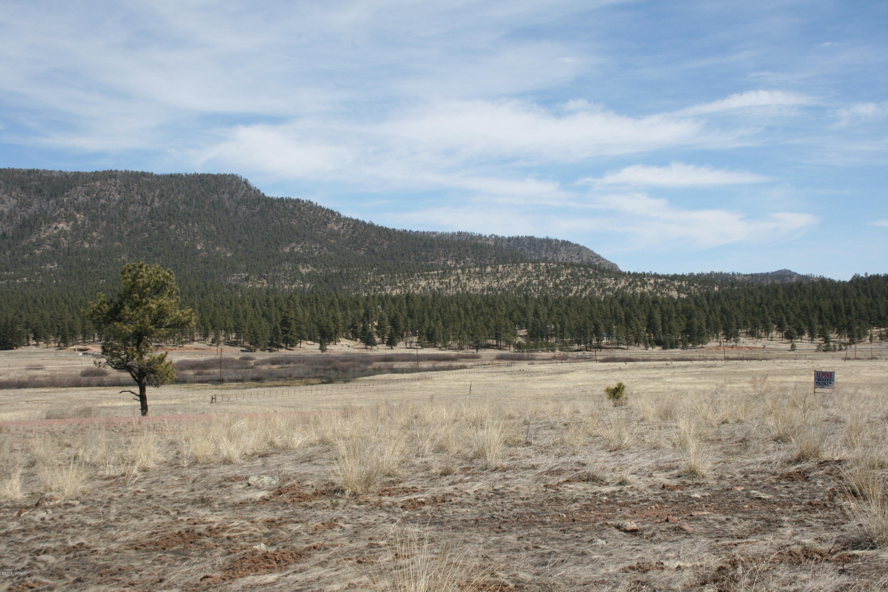 1 U Co Road Alpine, AZ 85920 - Photo 33 of 34