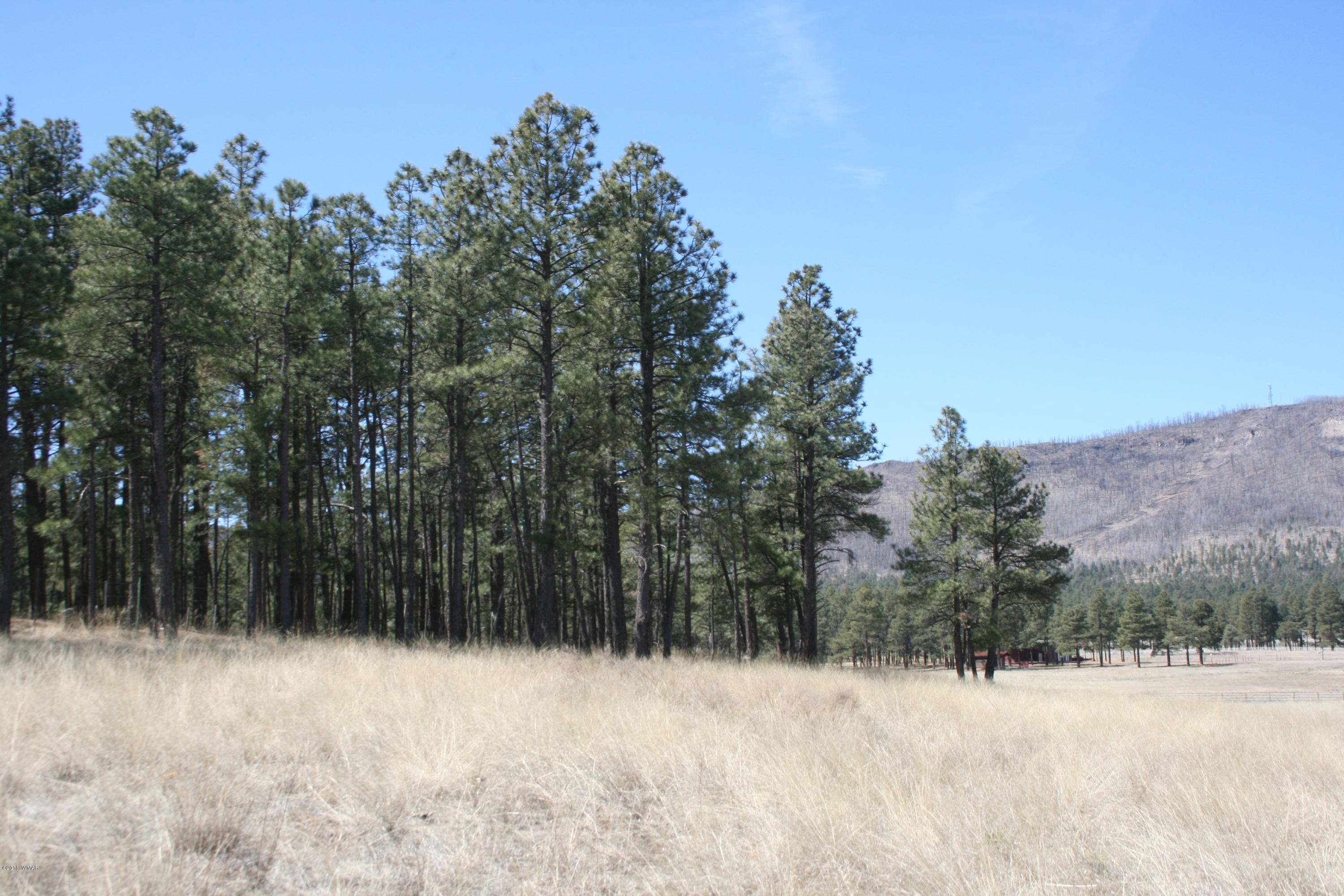 1 U Co Road Alpine, AZ 85920 - Photo 34 of 34