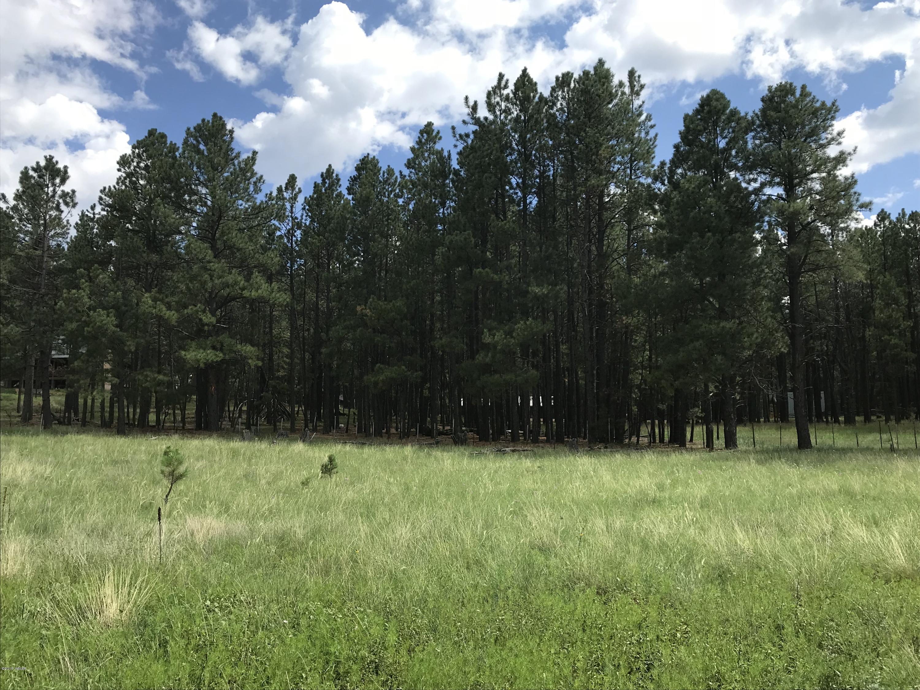 1 U Co Road Alpine, AZ 85920 - Photo 5 of 34