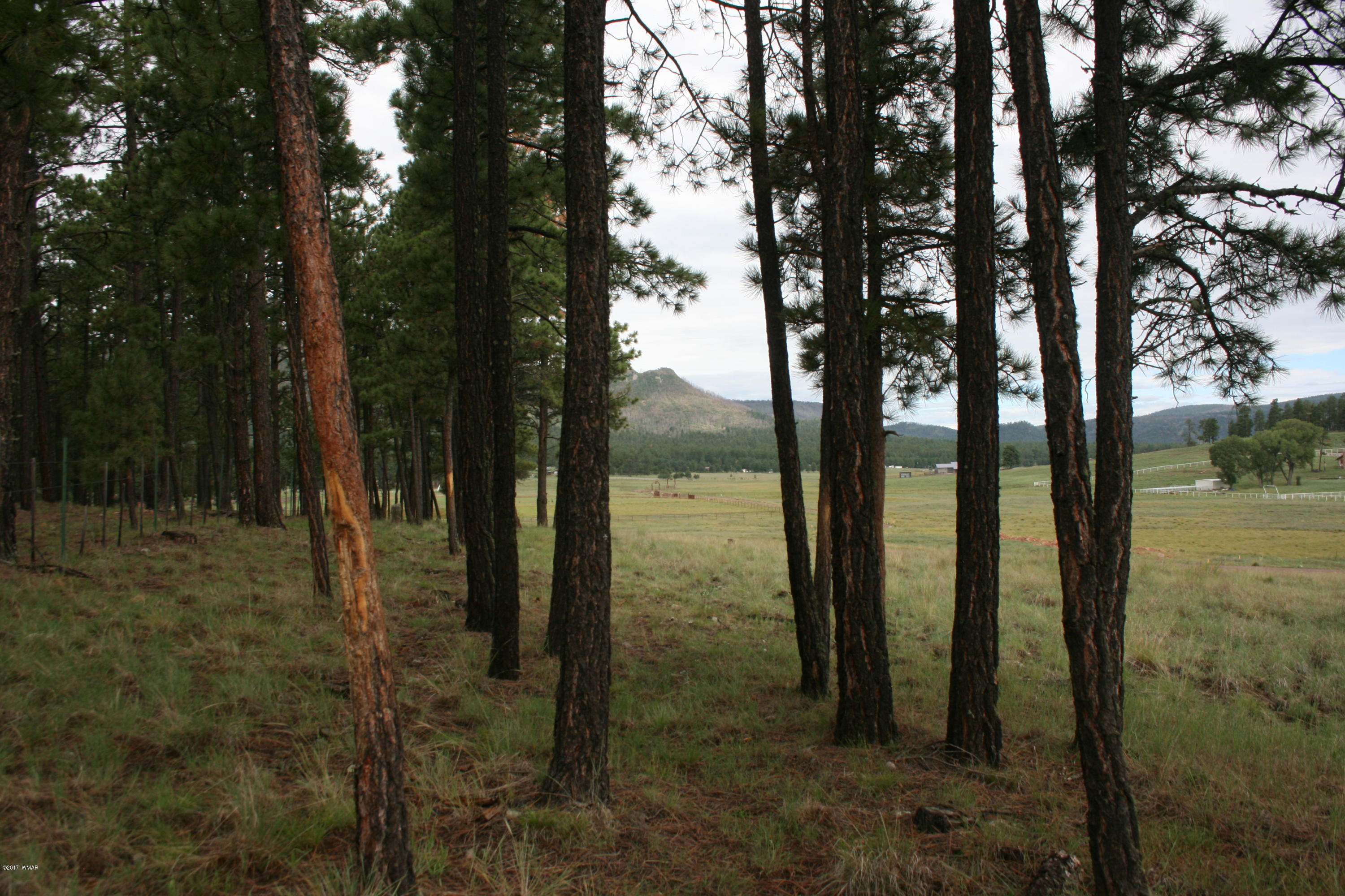 1 U Co Road Alpine, AZ 85920 - Photo 6 of 34