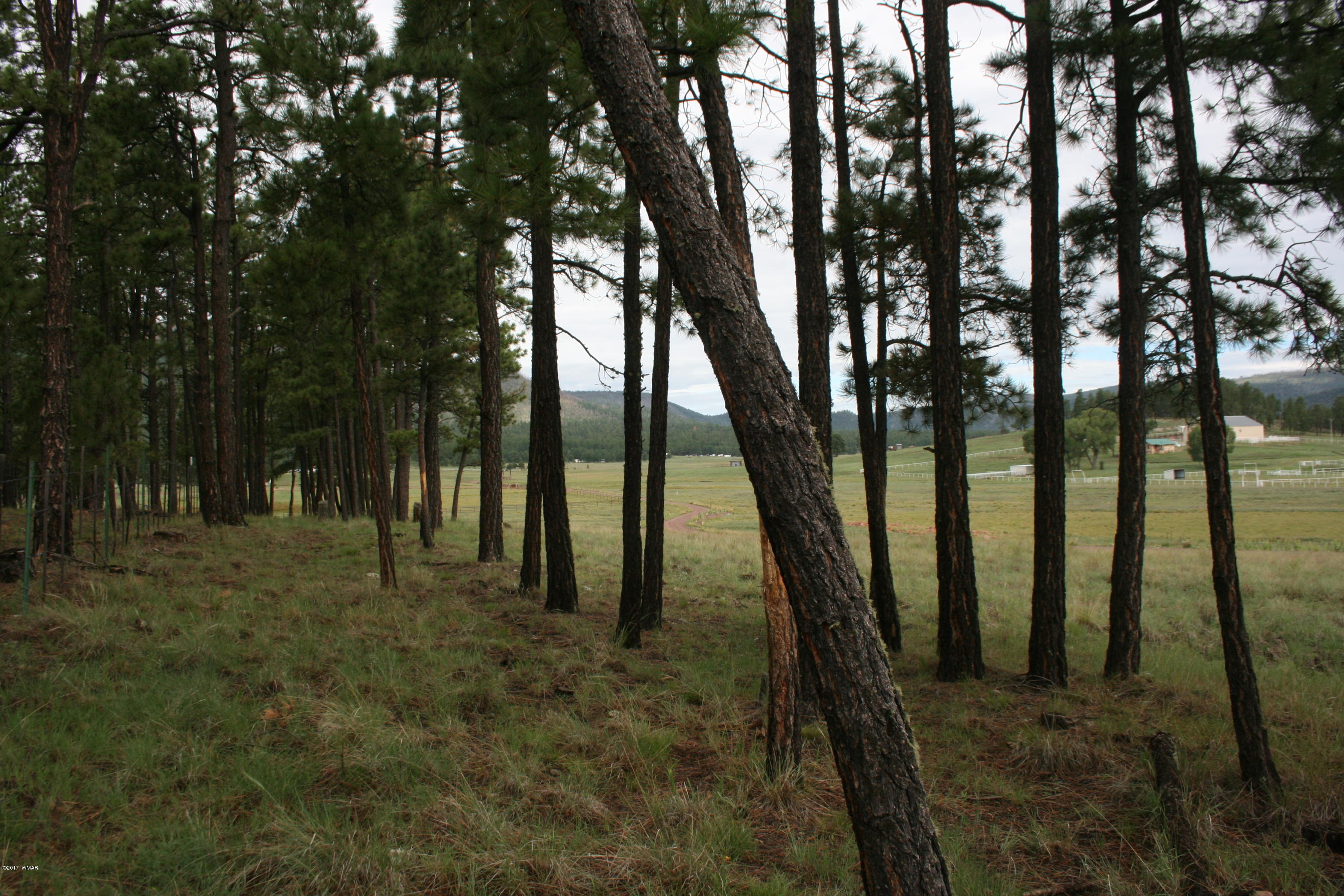 1 U Co Road Alpine, AZ 85920 - Photo 8 of 34