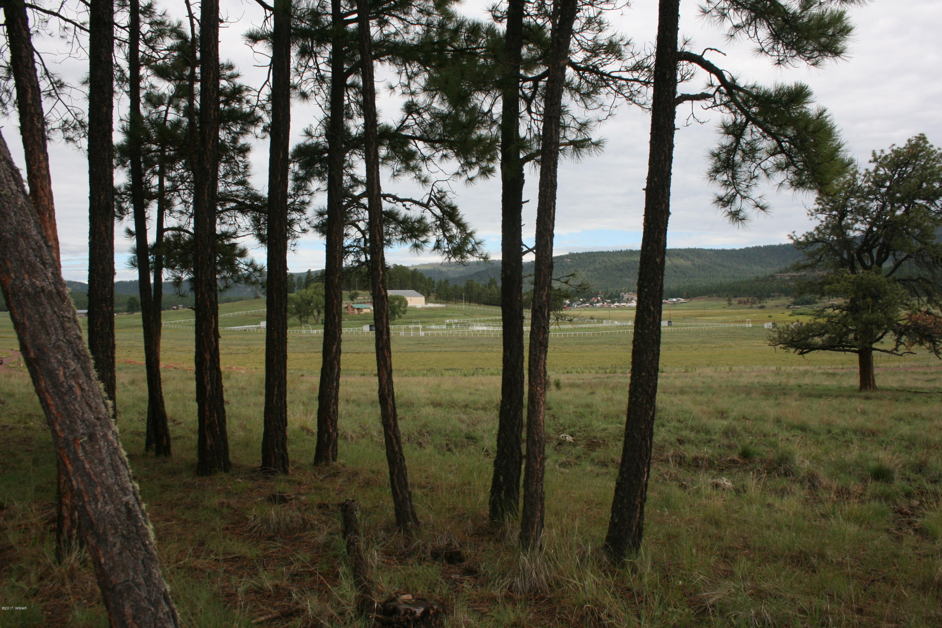 1 U Co Road Alpine, AZ 85920 - Photo 9 of 34