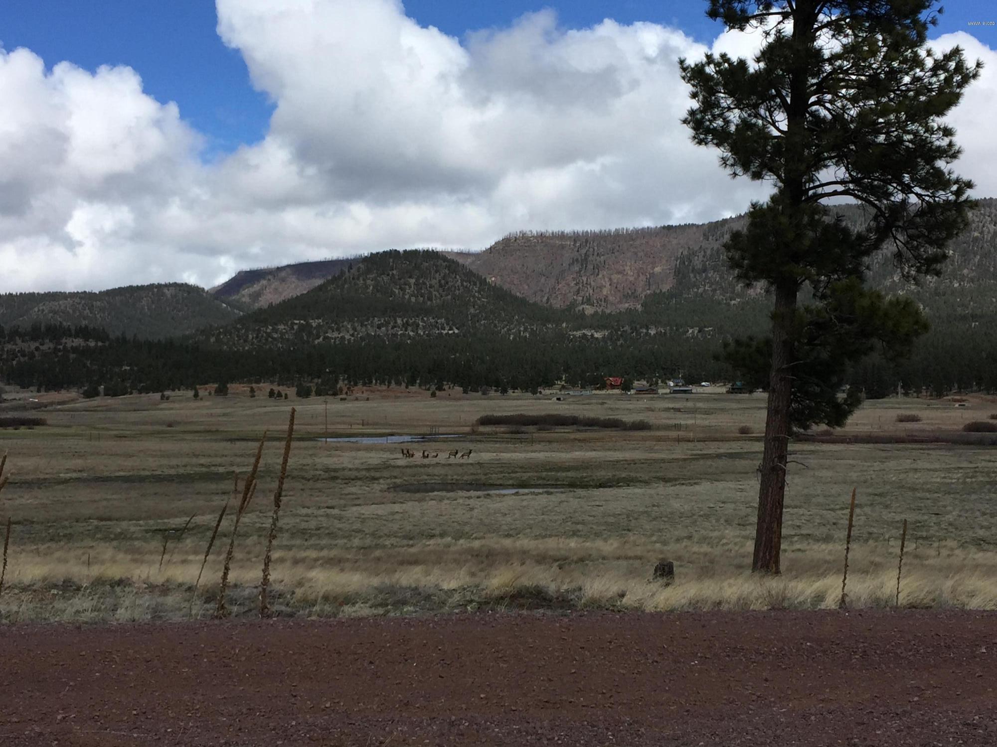 1 U Co Road Alpine, AZ 85920 - Photo 10 of 34