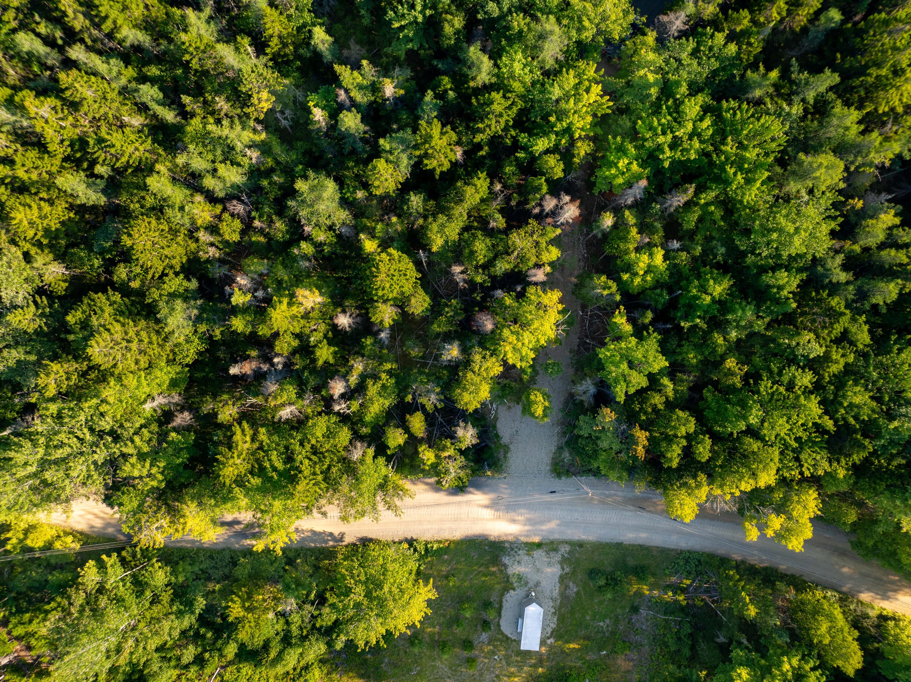 0 Duck Cove Road Roque Bluffs, ME 04654 - Photo 11 of 19 12