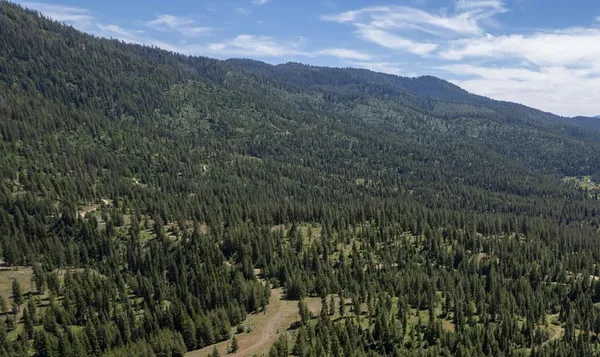 $247,050 | 23 Clear Creek Road, Cascade, ID 83611