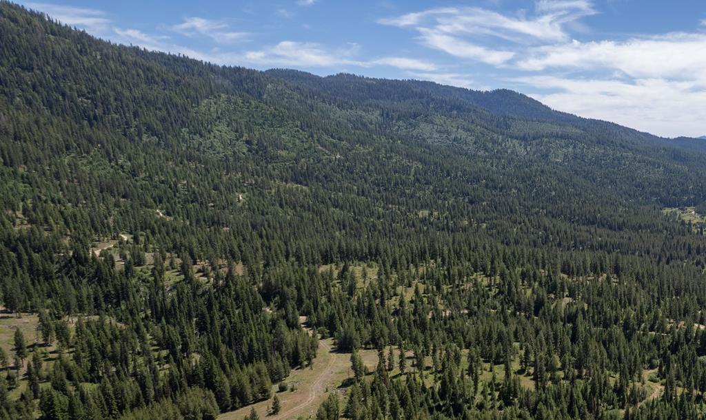23 Clear Creek Road Cascade, ID 83611 - Photo 1 of 4 Main View