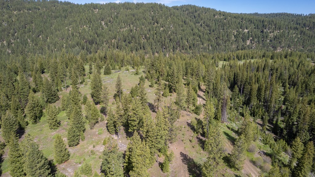 23 Clear Creek Road Cascade, ID 83611 - Photo 2 of 4