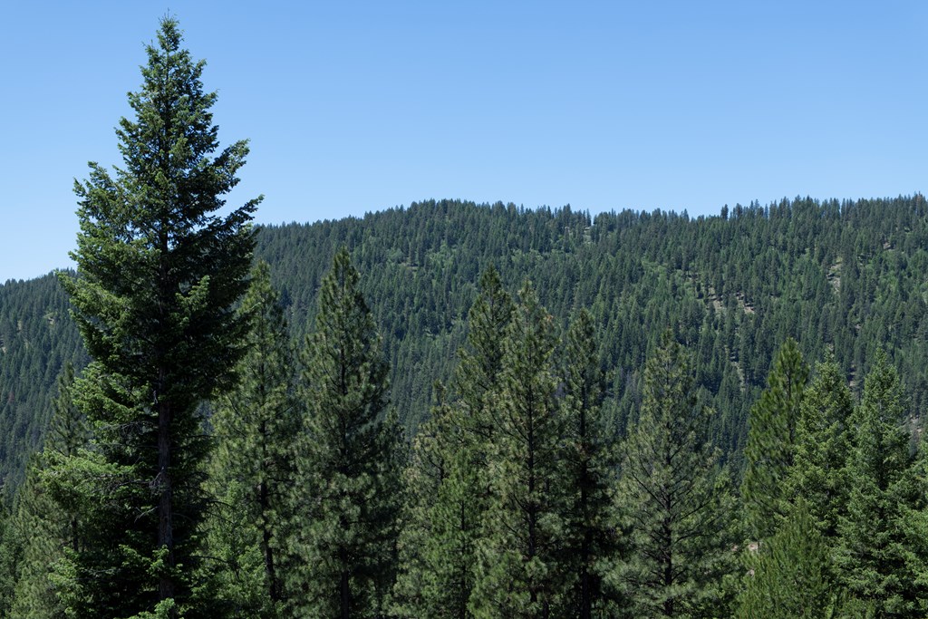 23 Clear Creek Road Cascade, ID 83611 - Photo 3 of 4