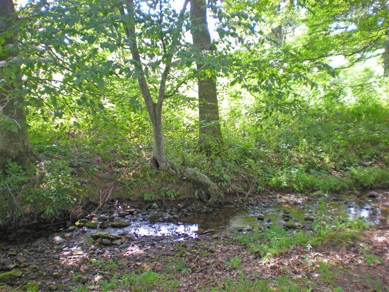 239 Old Spring Lane Science Hill, KY 42553 - Photo 24 of 44 Additional Photo