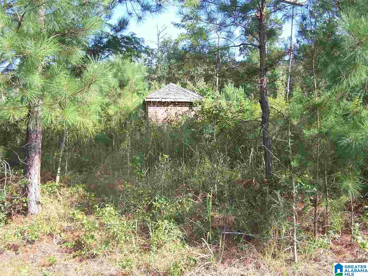 0 Jackson Trail, Unit 140 ACRES Altoona, AL 35952 - Photo 40 of 50