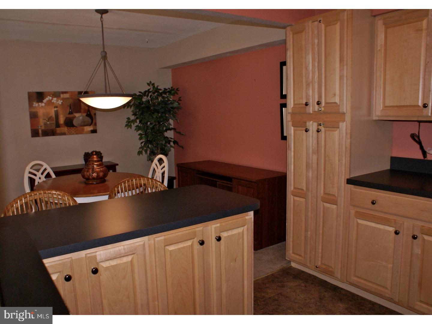 64 Welsh Tract Road, Unit 301 Newark, DE 19713 - Photo 9 of 15 a kitchen with a sink and cabinets