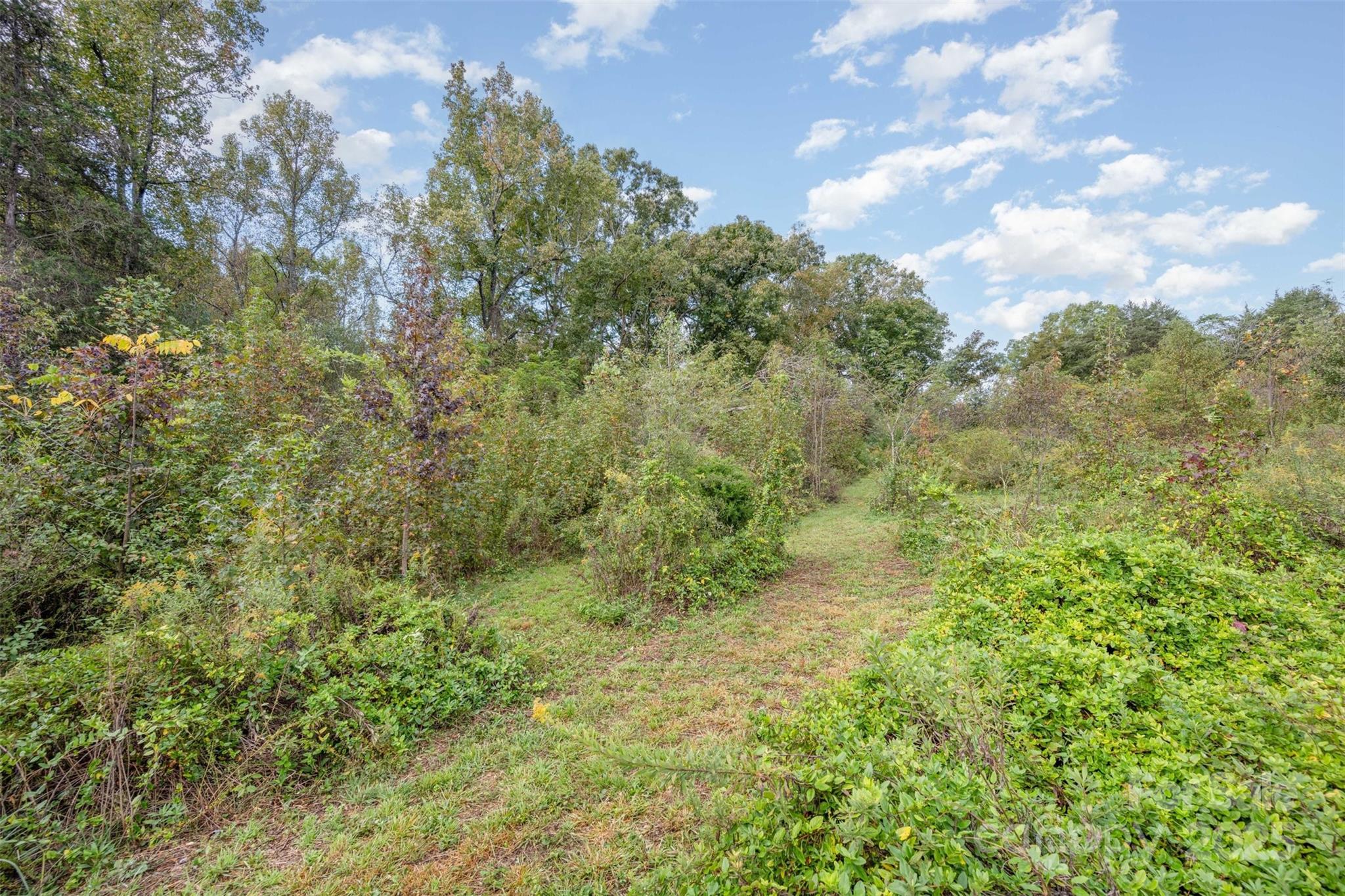 316 Josey Road Statesville, NC 28625 - Photo 23 of 27 a view of a yard