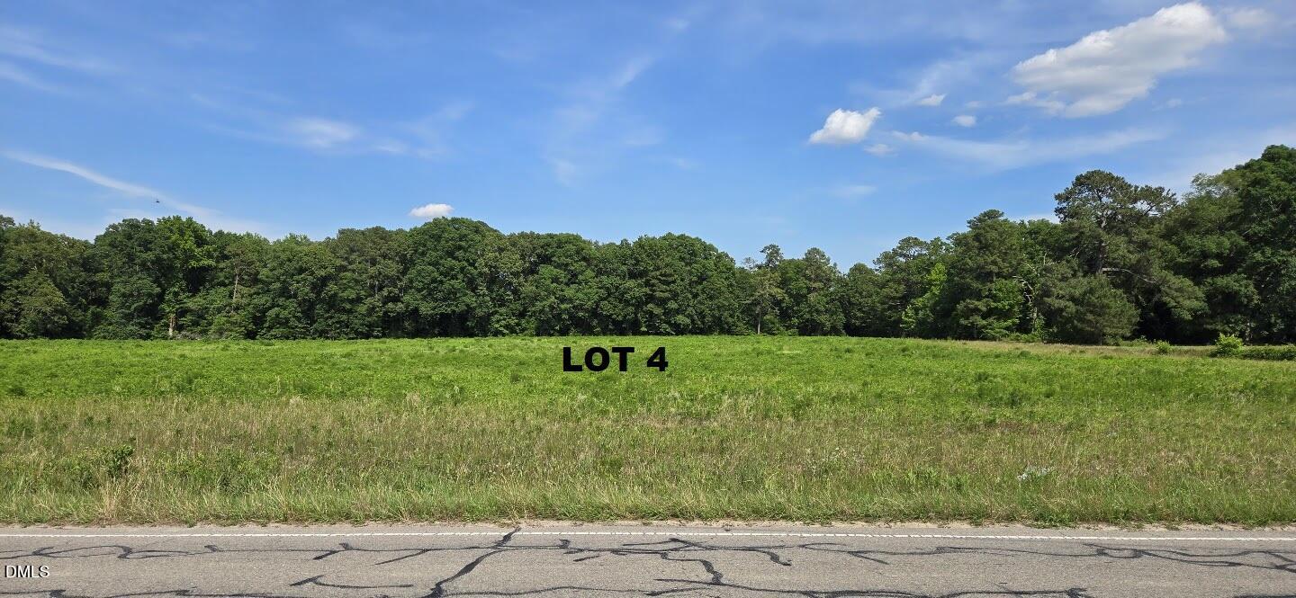 0 Lemon Springs Road Sanford, NC 27332 - Photo 7 of 8