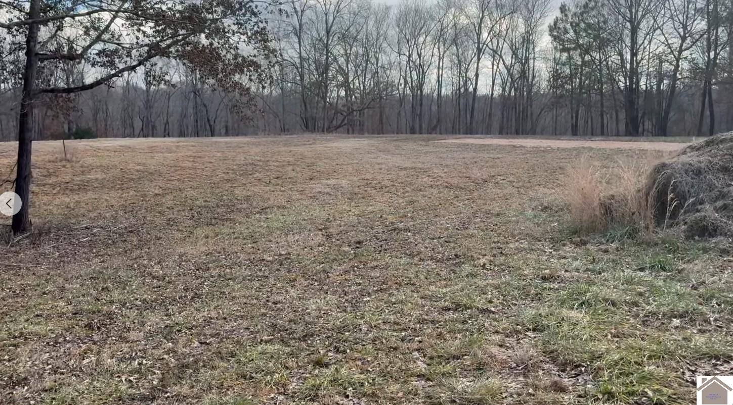 1802 Bryant Road Benton, KY 42025 - Photo 5 of 9 Photo 5