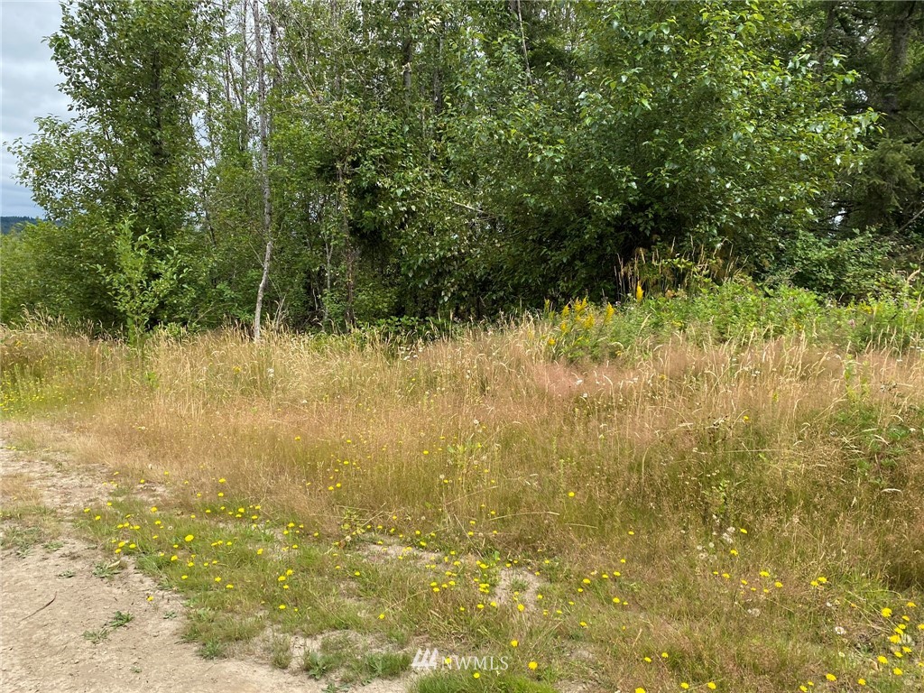 3 Norton Road Chehalis, WA 98532 - Photo 3 of 7