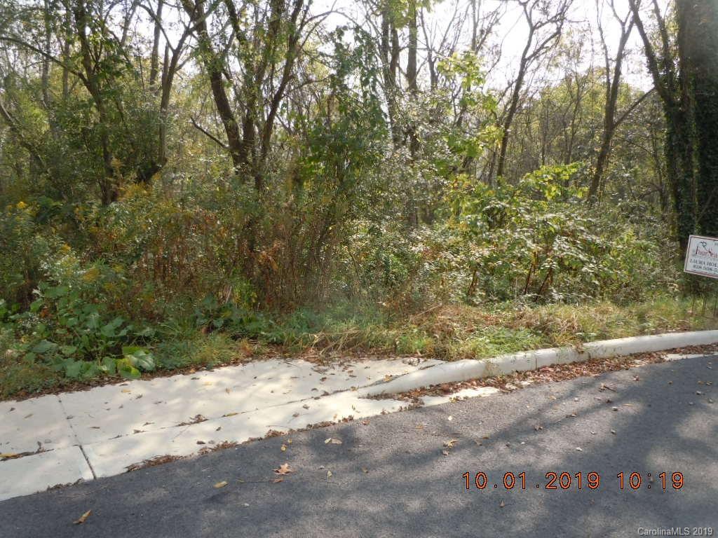 Tbd Sharptown Road Canton, NC 28716 - Photo 3 of 4