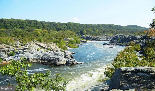 a front view of a building with garden and trees
