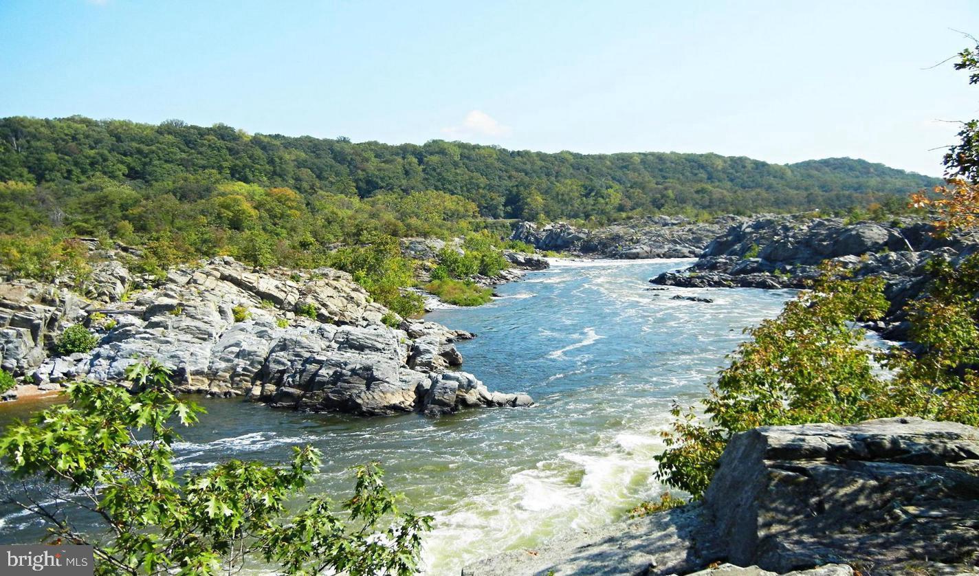 9113 Jeffery Road Great Falls, VA 22066 - Photo 18 of 31 Beautiful park close by