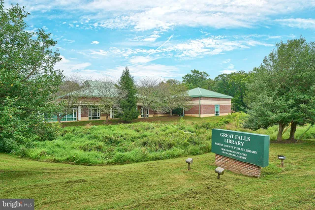 a view of a garden with plants and large trees
