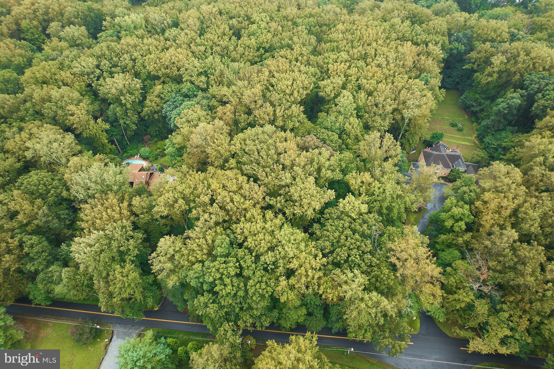 9113 Jeffery Road Great Falls, VA 22066 - Photo 6 of 31