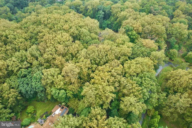 a view of a forest with a houses