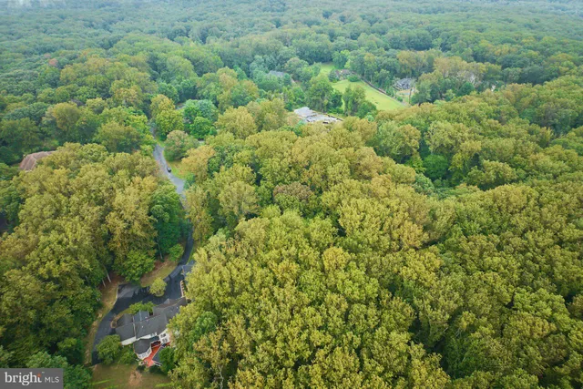 a view of a field of grass and trees
