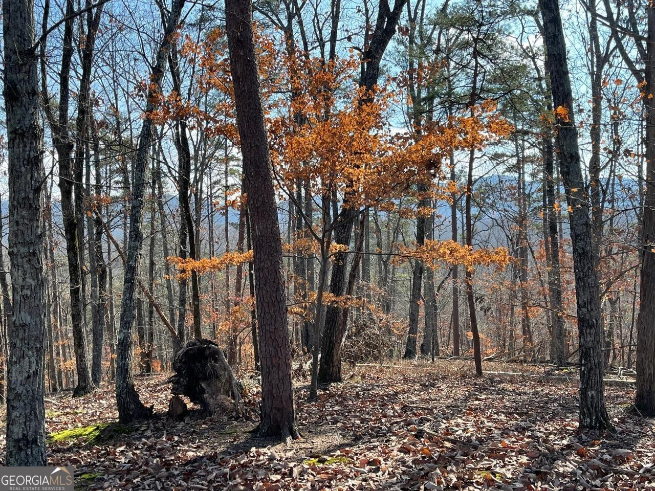 611 Pack Road Northeast Ranger, GA 30734 - Photo 1 of 1 Gallery Image 1
