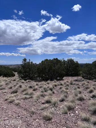 a view of a dry yard