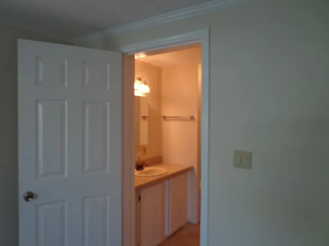 a bathroom with a sink and vanity